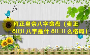 雍正皇帝八字命盘（雍正 🦋 八字是什 🕊 么格局）